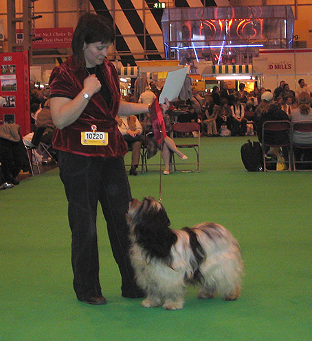 Anja winning open bitch class at Crufts in 2007