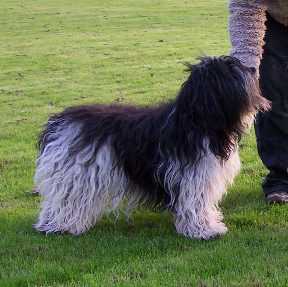 Teka